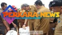 Pak PJ Gubernur