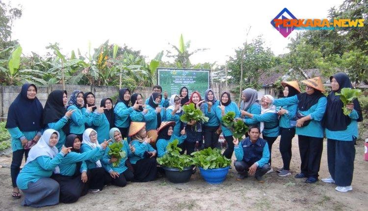 Ketua TP PKK Pangkalpinang Panen Raya Sayur